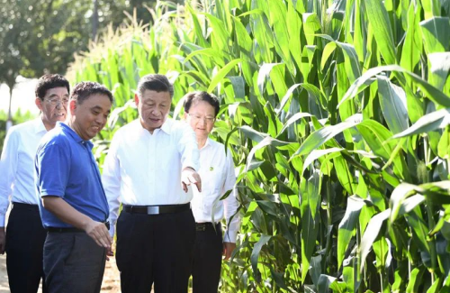 恒峰g22 - 官网入口 -- 每天有惊喜