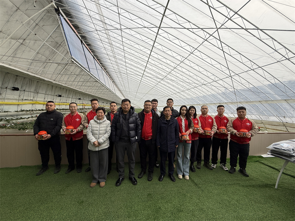 恒峰g22 - 官网入口 -- 每天有惊喜